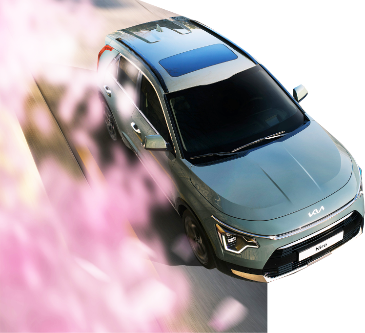 Achetez votre voiture d'occasion au meilleur prix